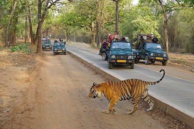 Fort Ranthambore